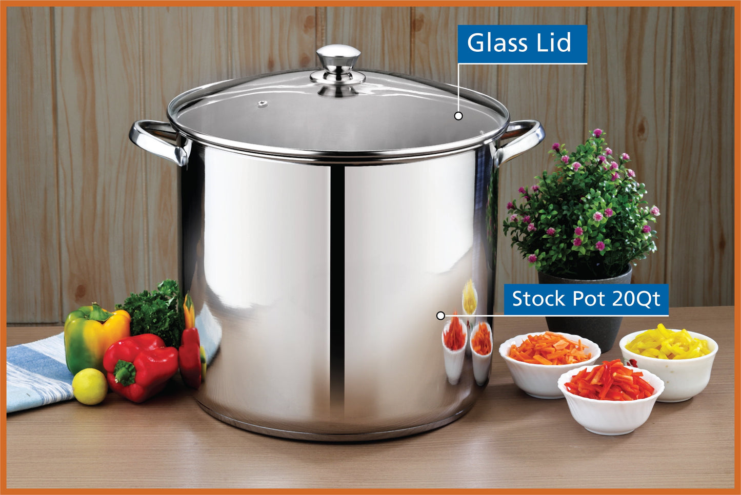 Stainless Steel 20-Quart Stock Pot with Glass Lid