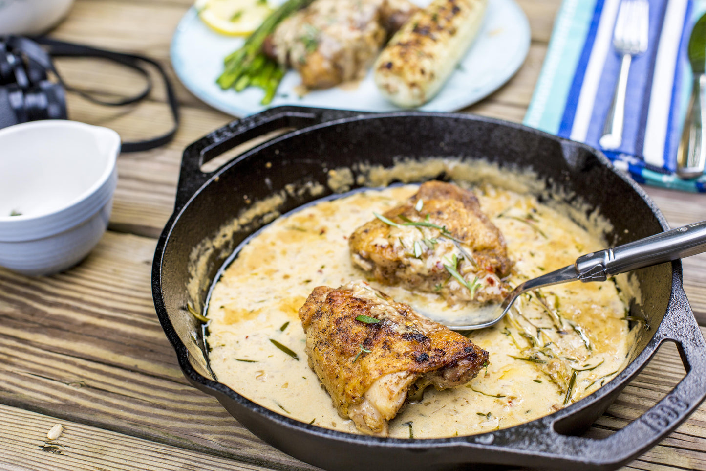 Cast Iron Seasoned Cast Iron 10.25" Dual Handle Pan