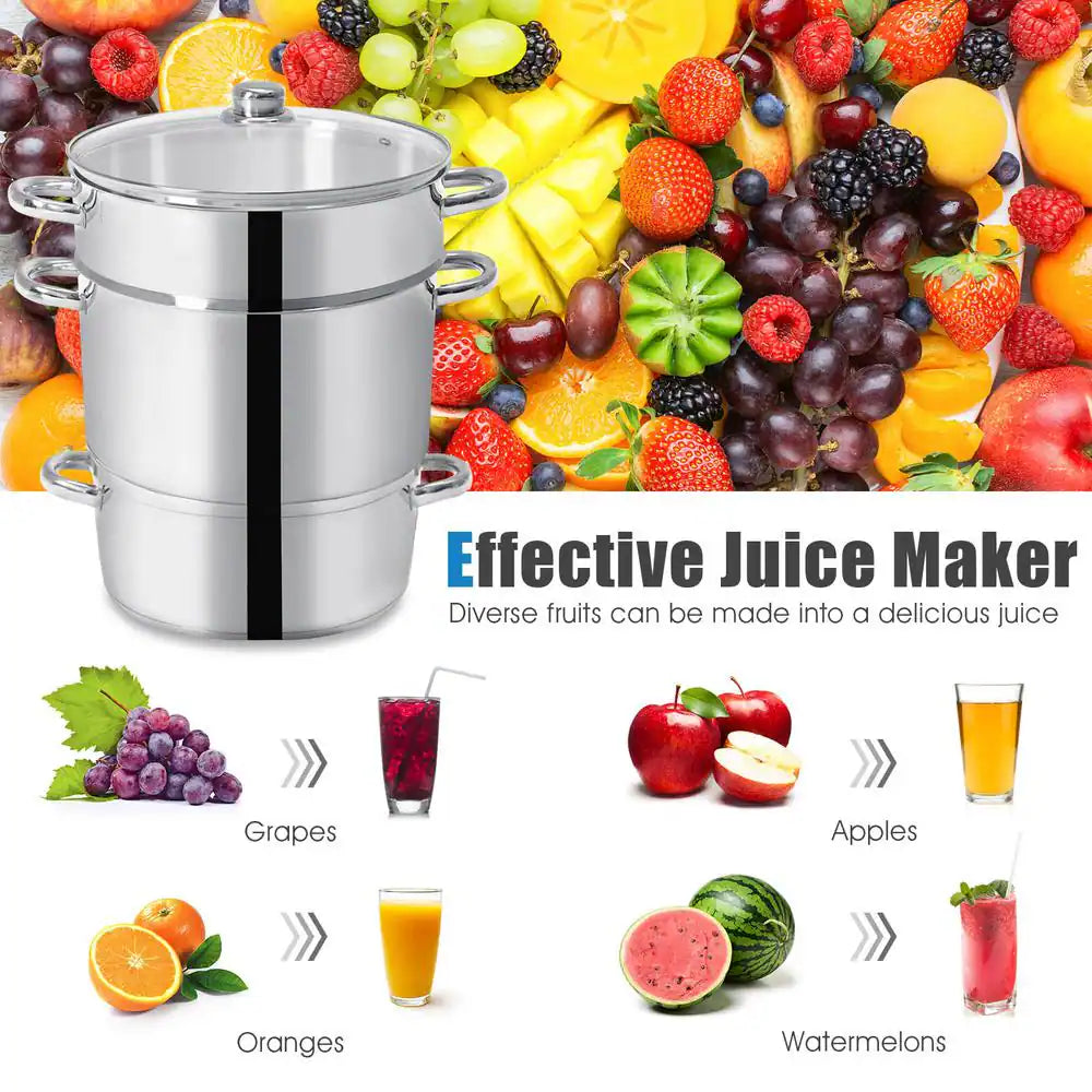 11 Qt. Stainless Steel Multi-Lever Fruit Juicer Steamer Stock Pot, Safe Loop Handles